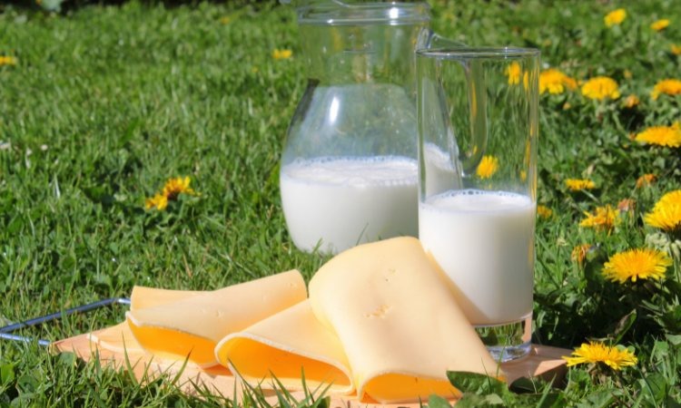  Sữa có thể làm tăng tình trạng viêm nhiễm